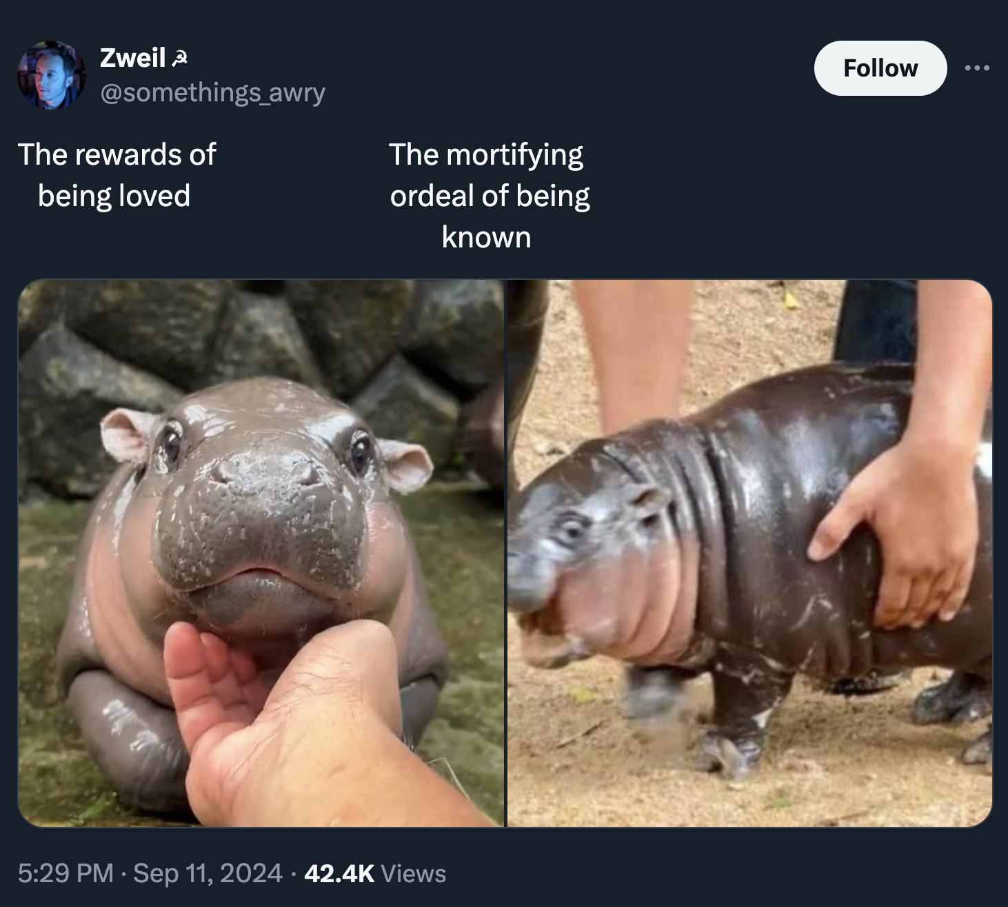 hippopotamus - Zweil The rewards of being loved The mortifying ordeal of being known Views